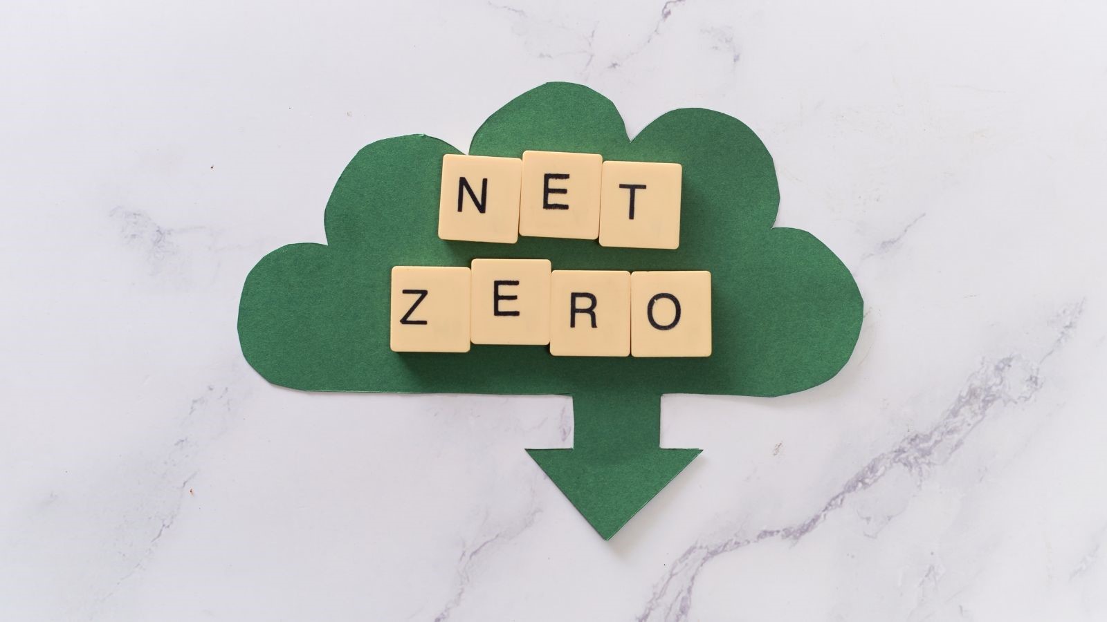 Net Zero (1)
