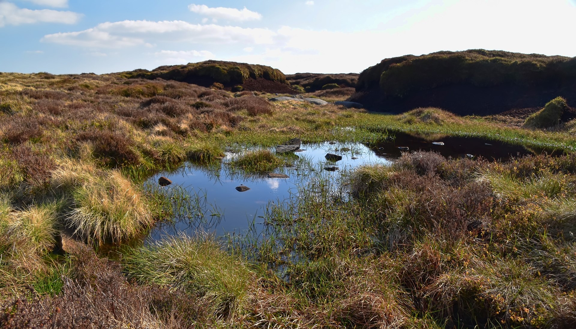 UK Peatland