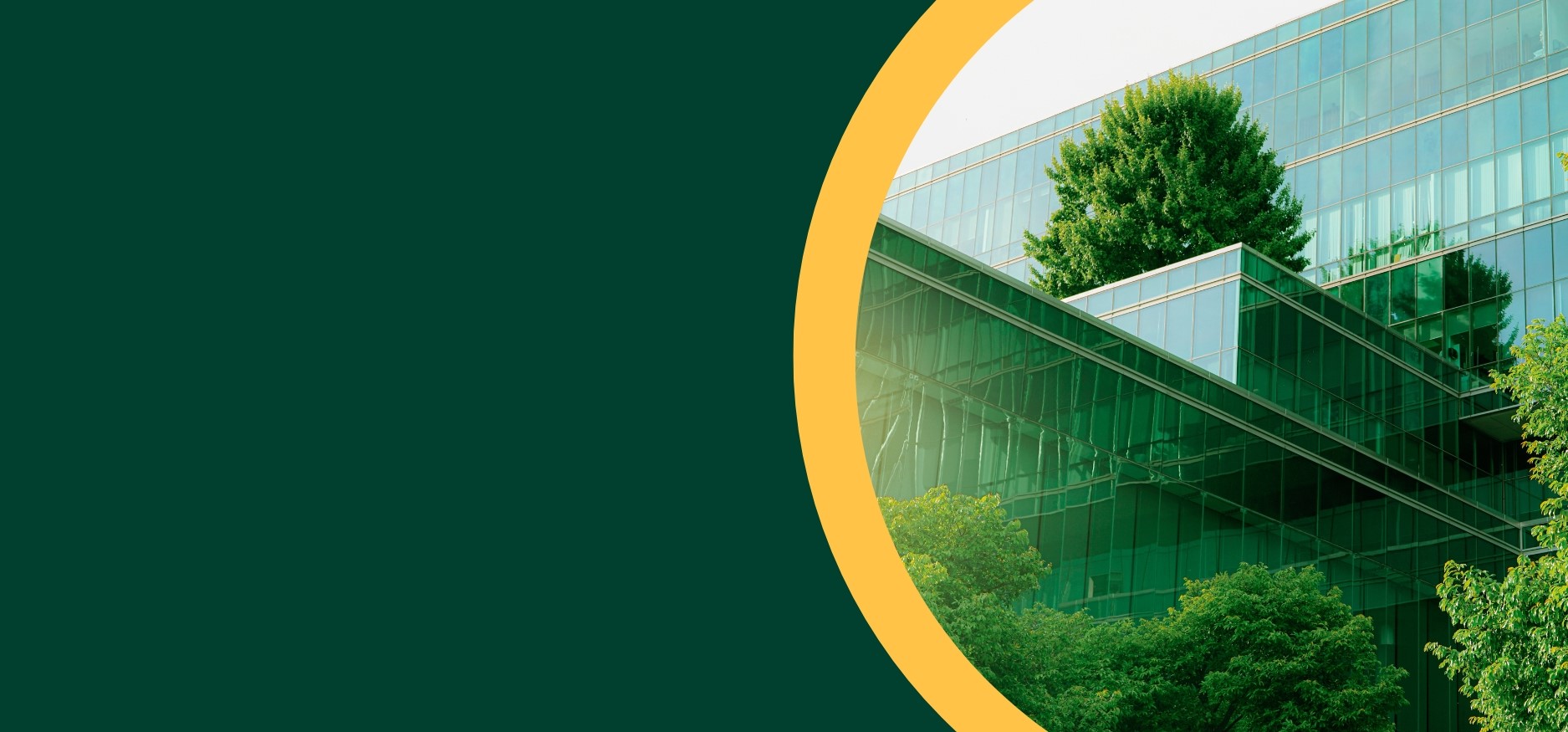 SUS GUIDE MICRO BIZZ BLANK