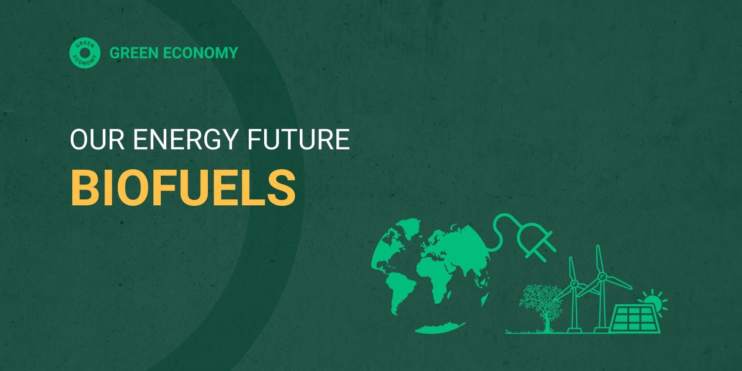 Our Energy Future (1)