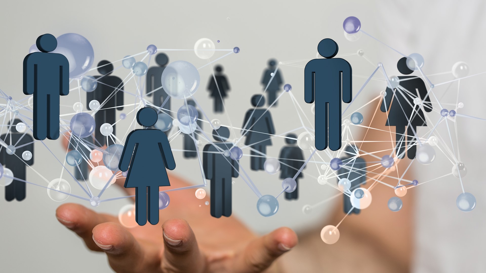 Board Members News (1)