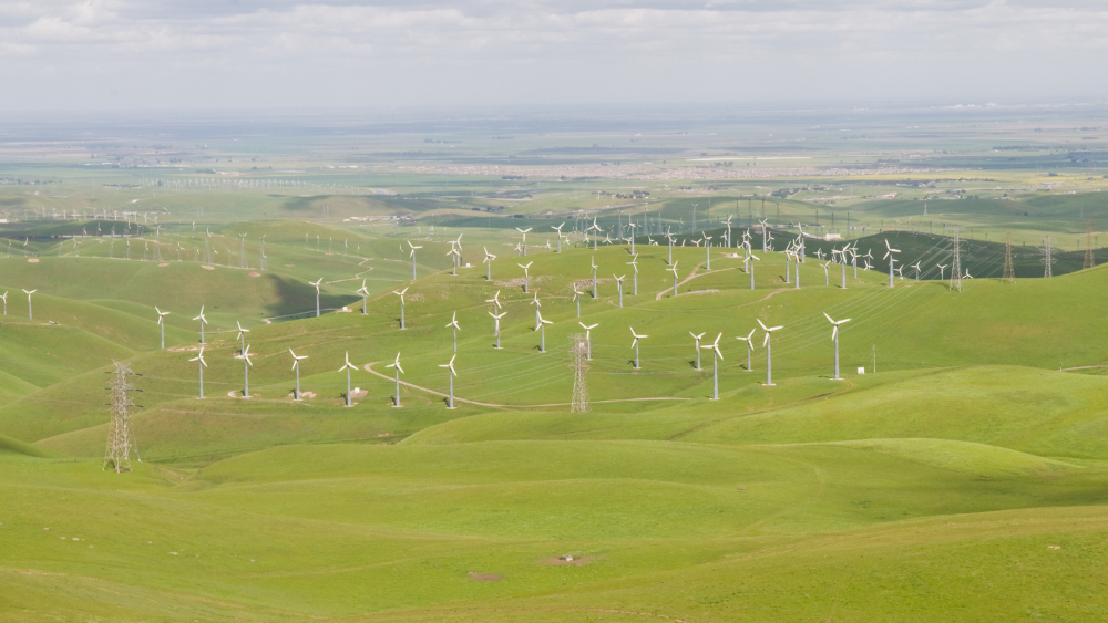 Wind Farm