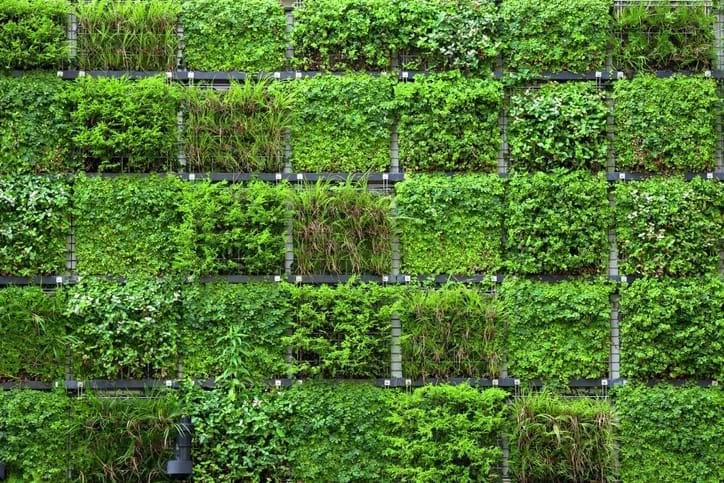 Green Wall Gettyimages 479724364