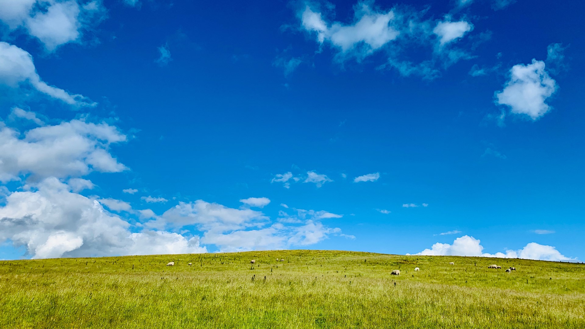 Spare Land News Story