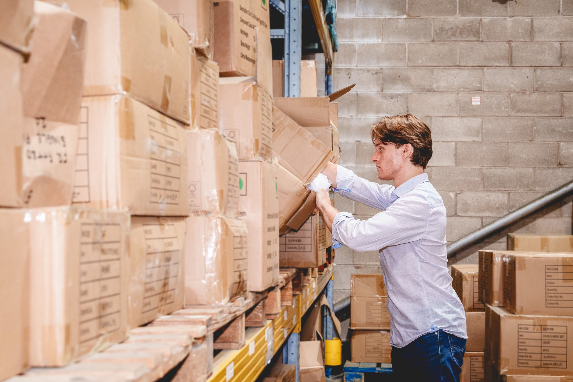 Sonny Rummaging Through Boxes