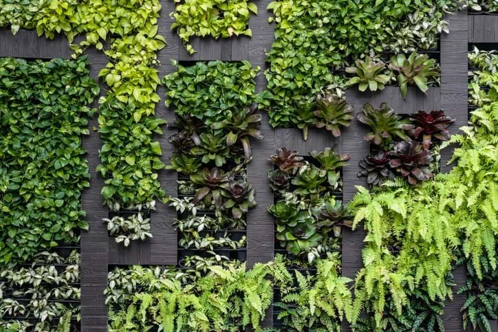 Green Wall Gettyimages 635949984