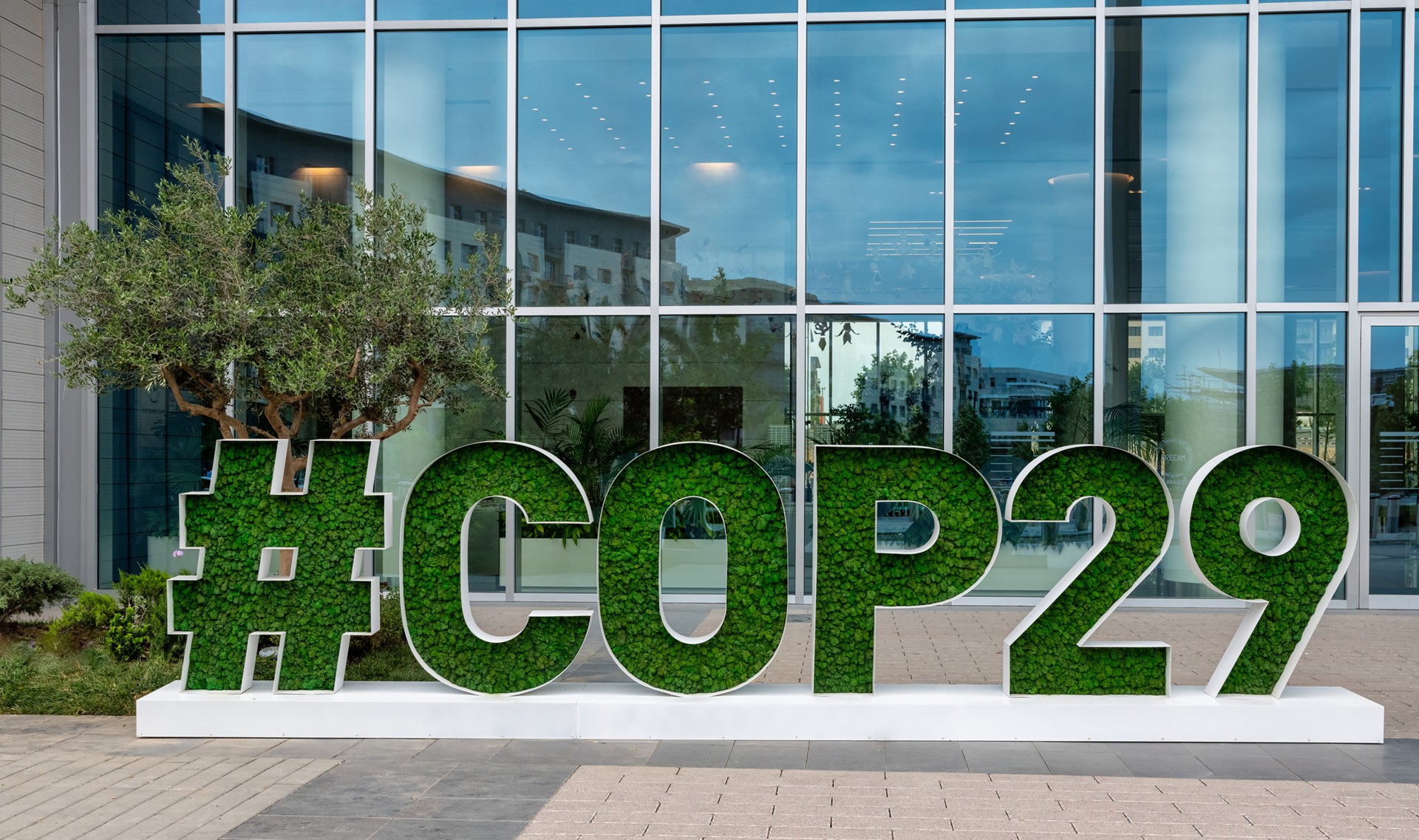 COP29